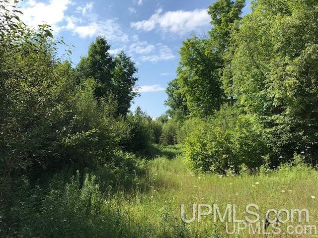 Tbd Rock River Road Deerton, MI 49822 - Photo 8 of 12