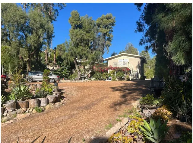 a view of a park with plants and trees