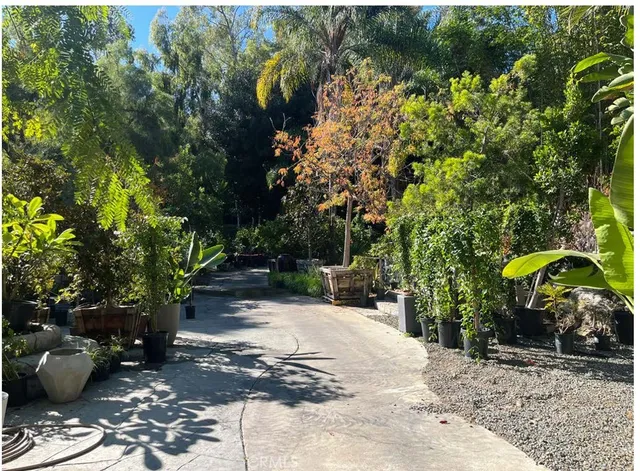 a view of a potted plants on a patio