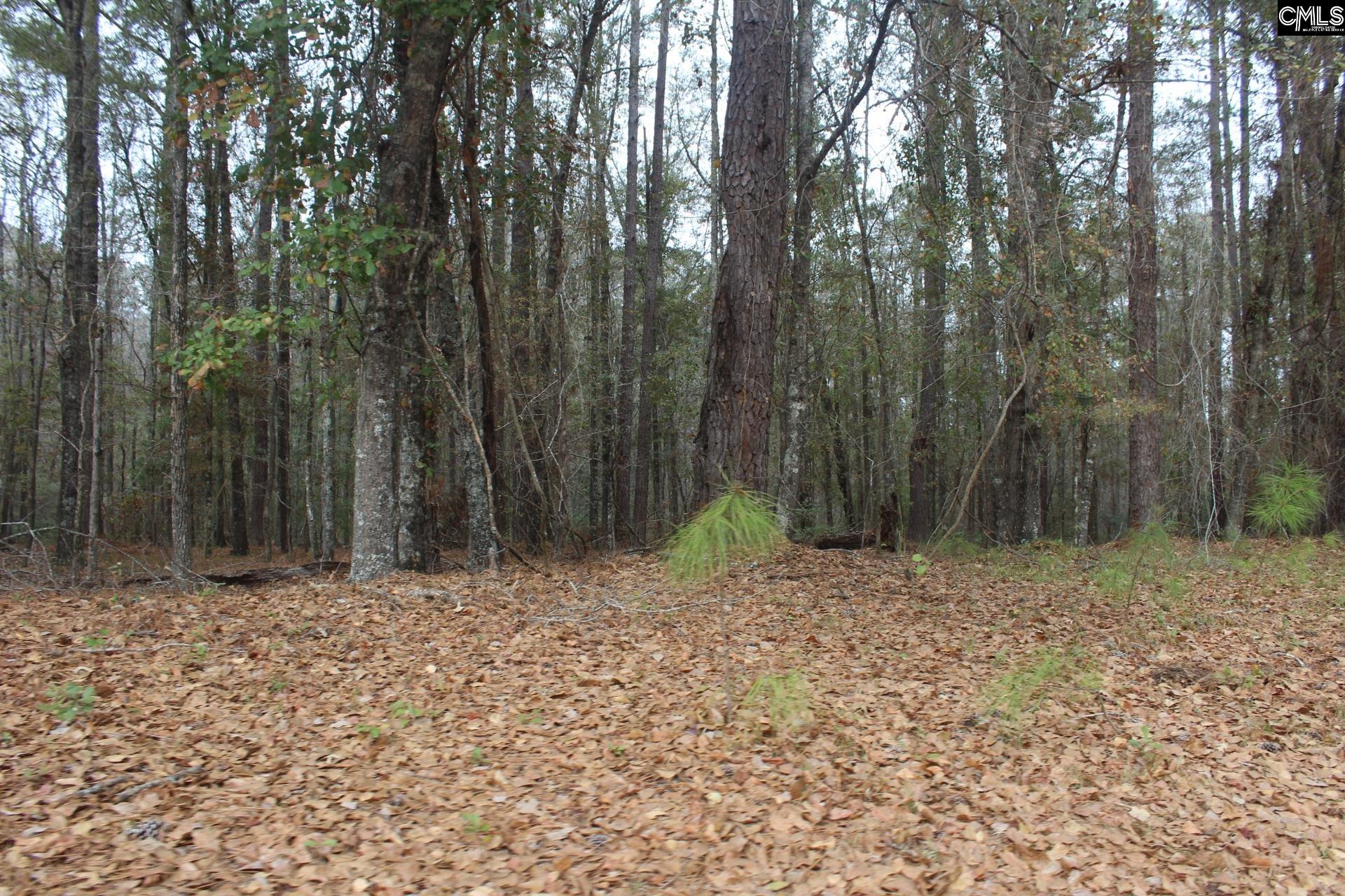 220 Ivory Street Cope, SC 29038 - Photo 3 of 14