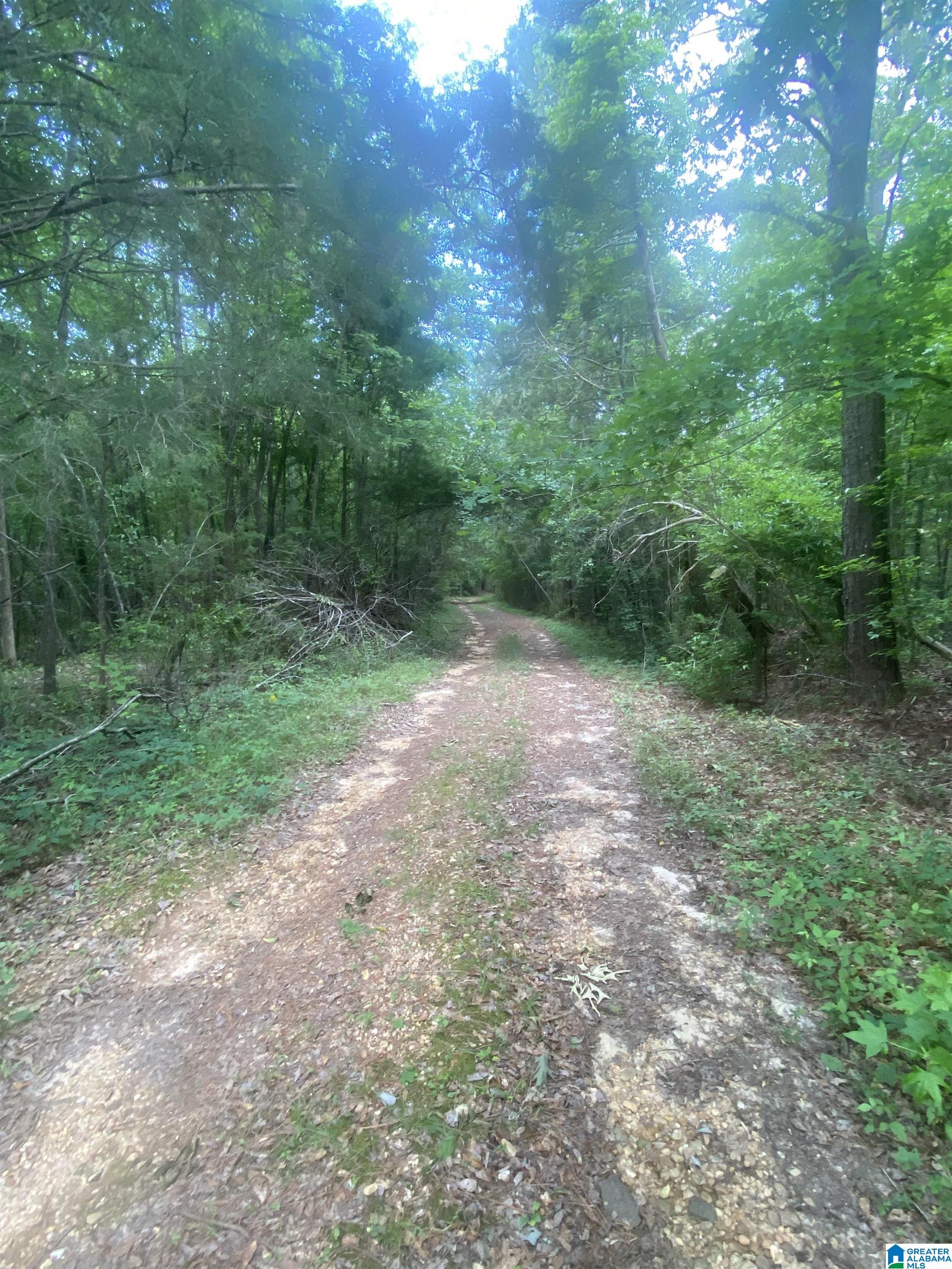 201 Baret Creek Road Selma, AL 36701 - Photo 3 of 7