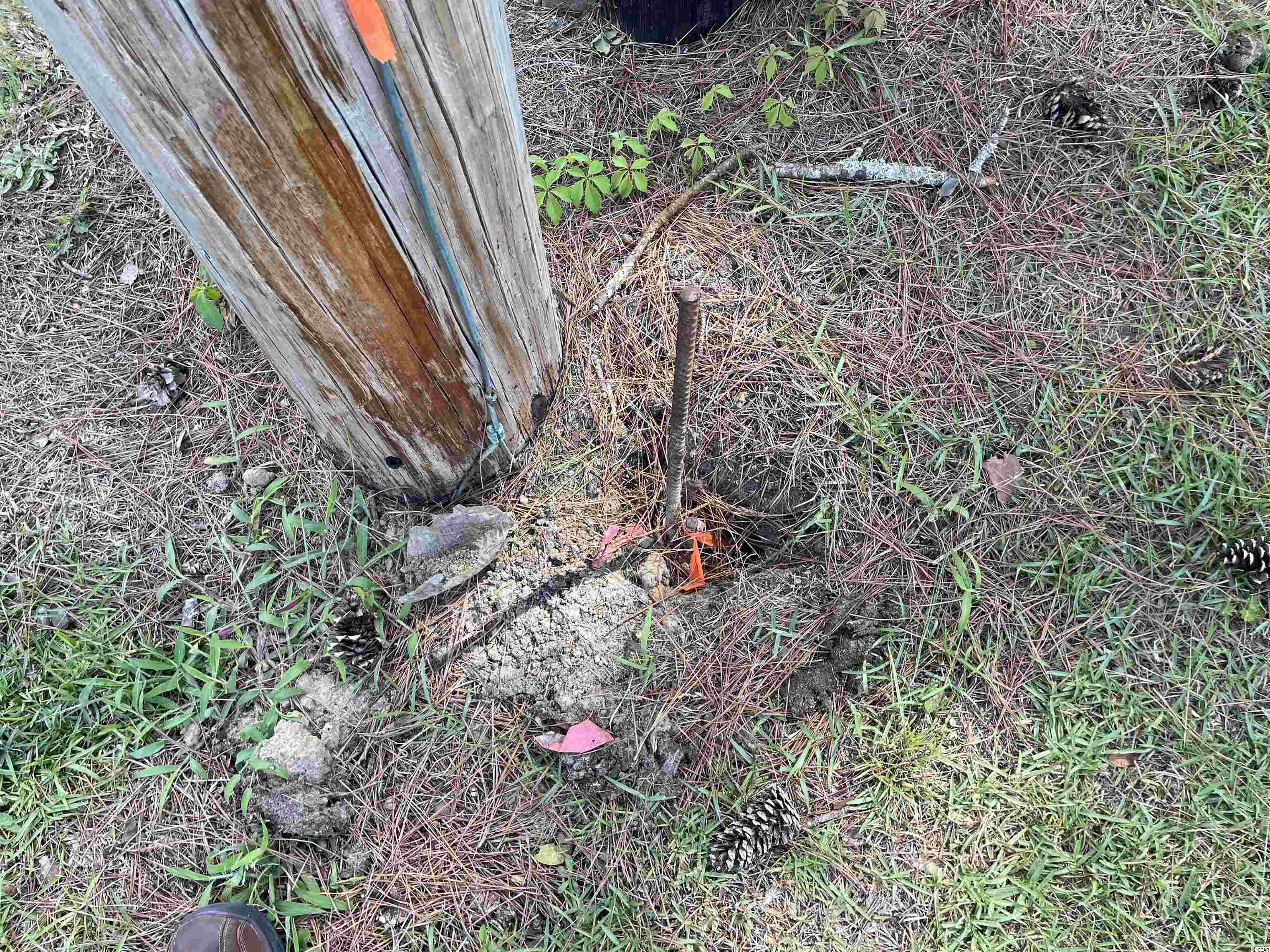 Tbd Suggs Street Loris, SC 29569 - Photo 8 of 13