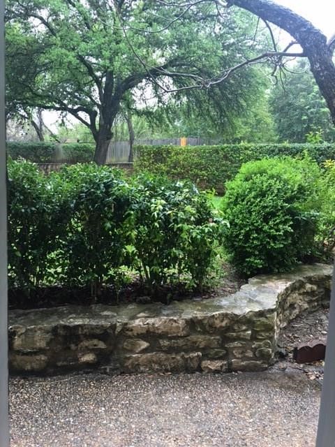 802 South 1st Street, Unit 117 Austin, TX 78704 - Photo 26 of 31 a view of backyard with green space