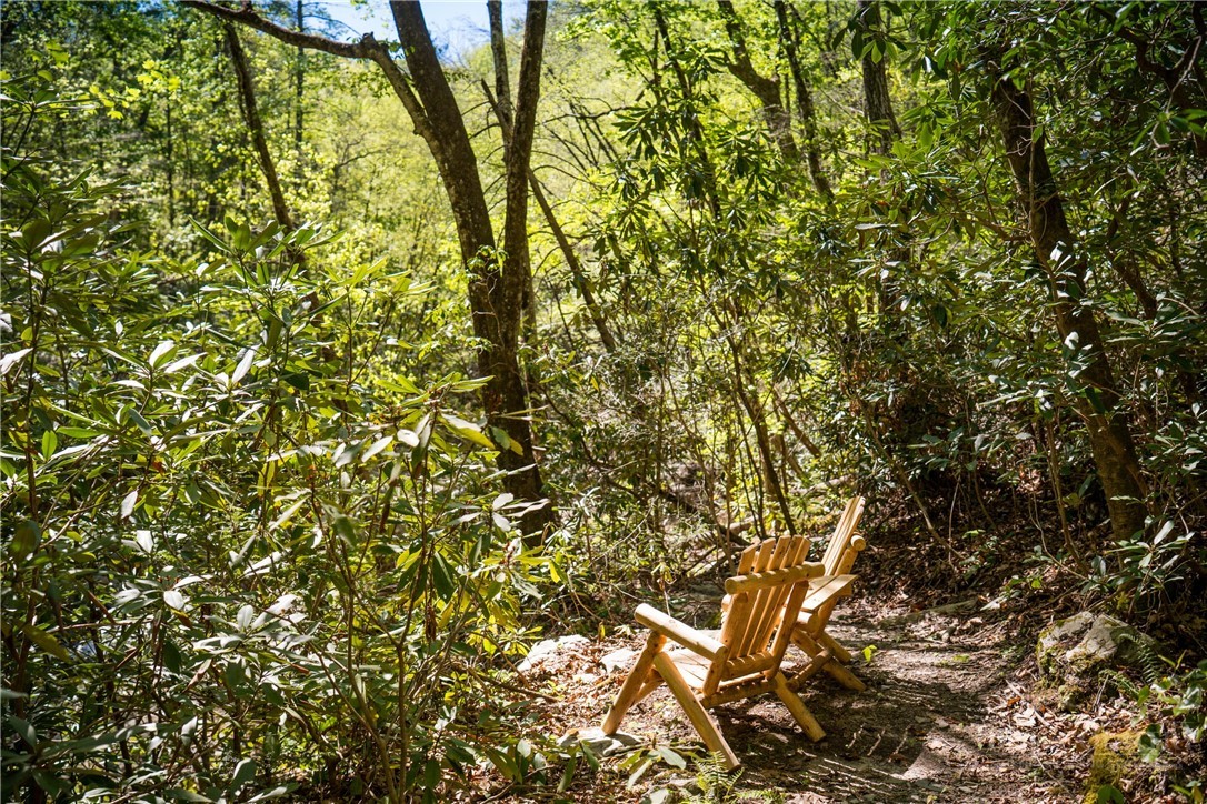 1236 Ninebark Road Boone, NC 28607 - Photo 45 of 50