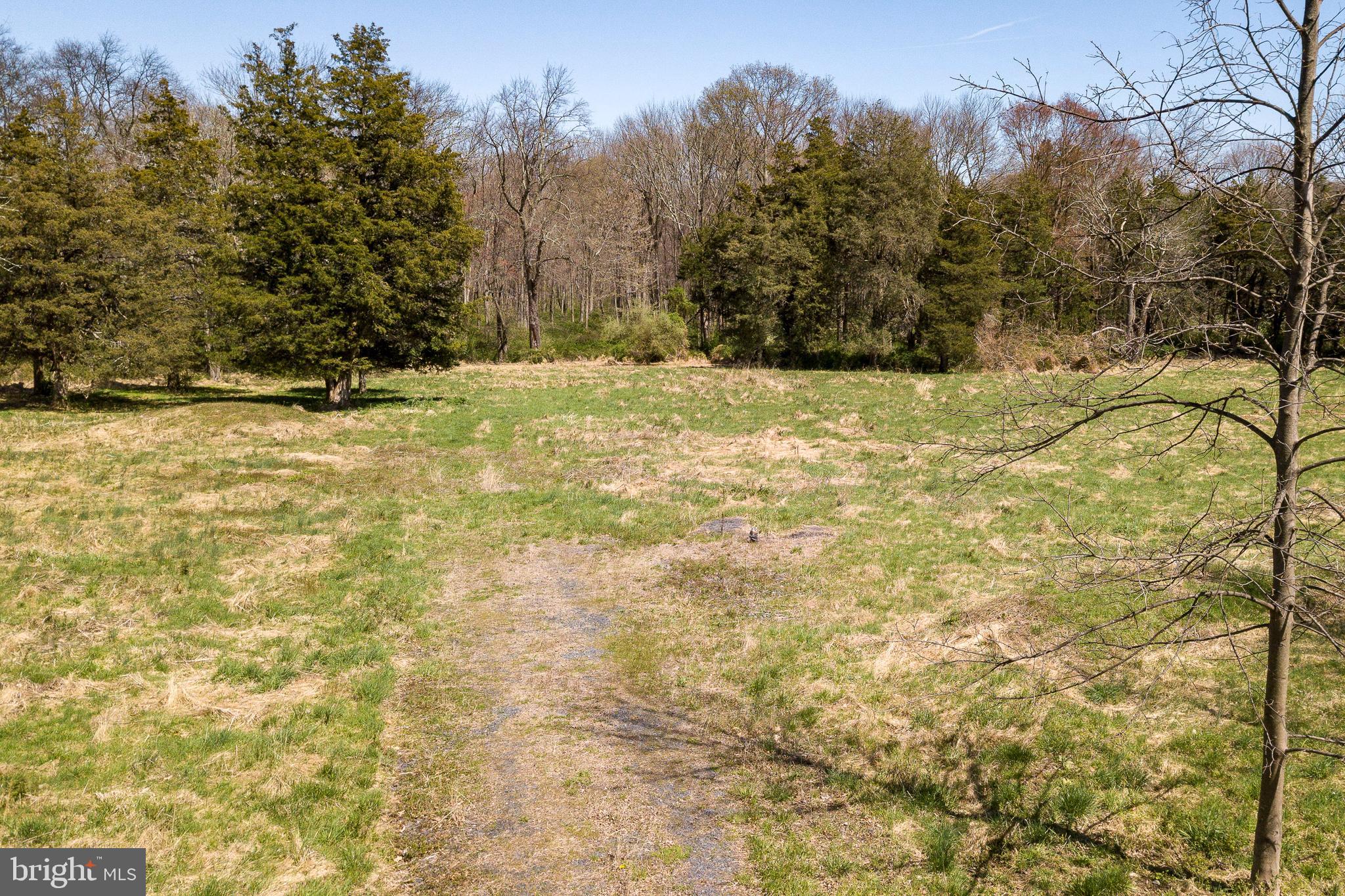 447 Spring Hill Road Skillman, NJ 08558 - Photo 5 of 12 front view