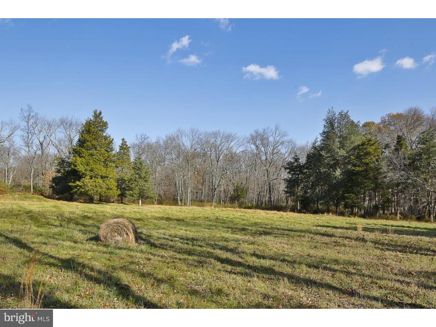 447 Spring Hill Road Skillman, NJ 08558 - Photo 6 of 12 cleared lot