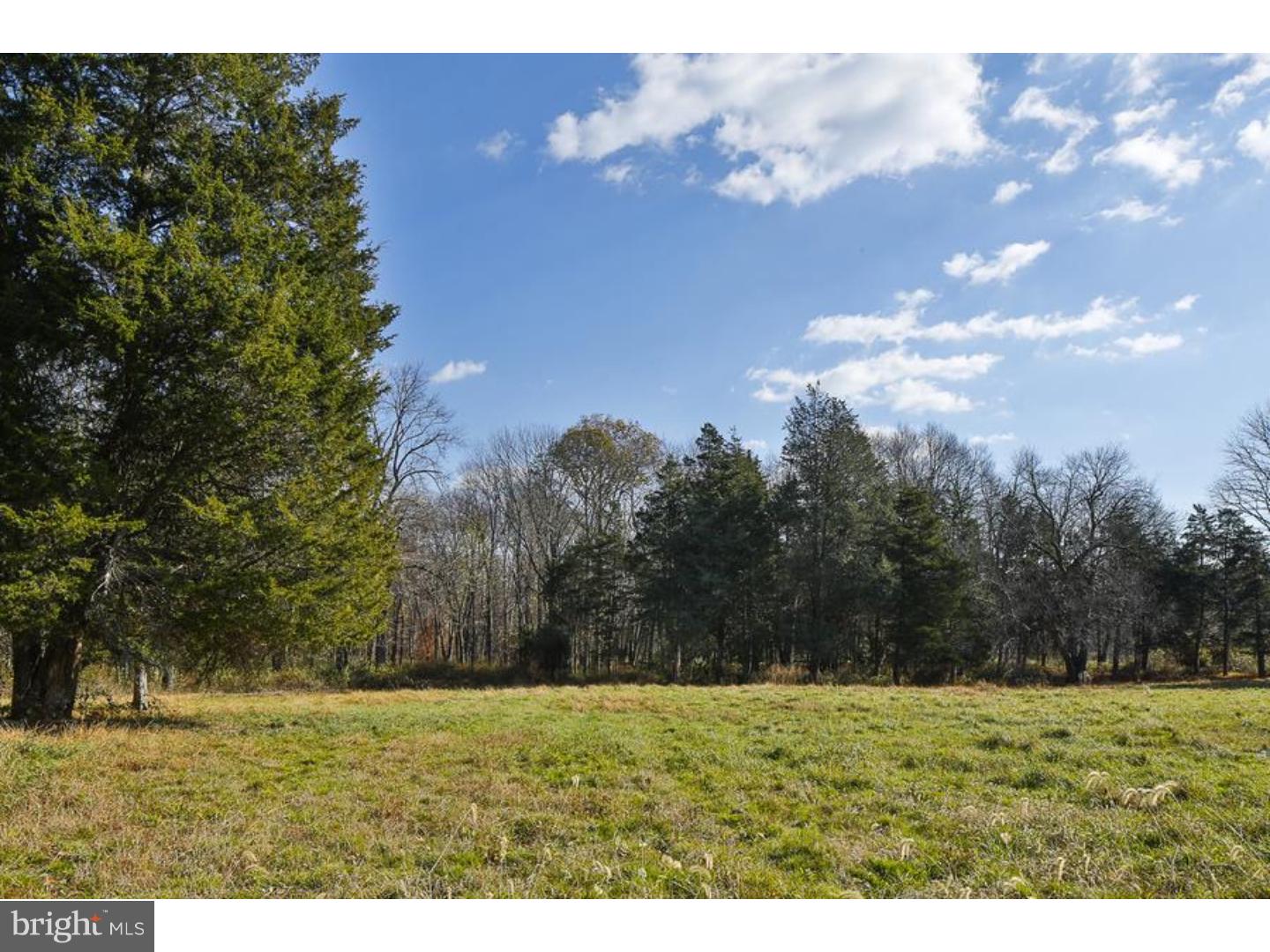 447 Spring Hill Road Skillman, NJ 08558 - Photo 7 of 12 wooded in back of lot