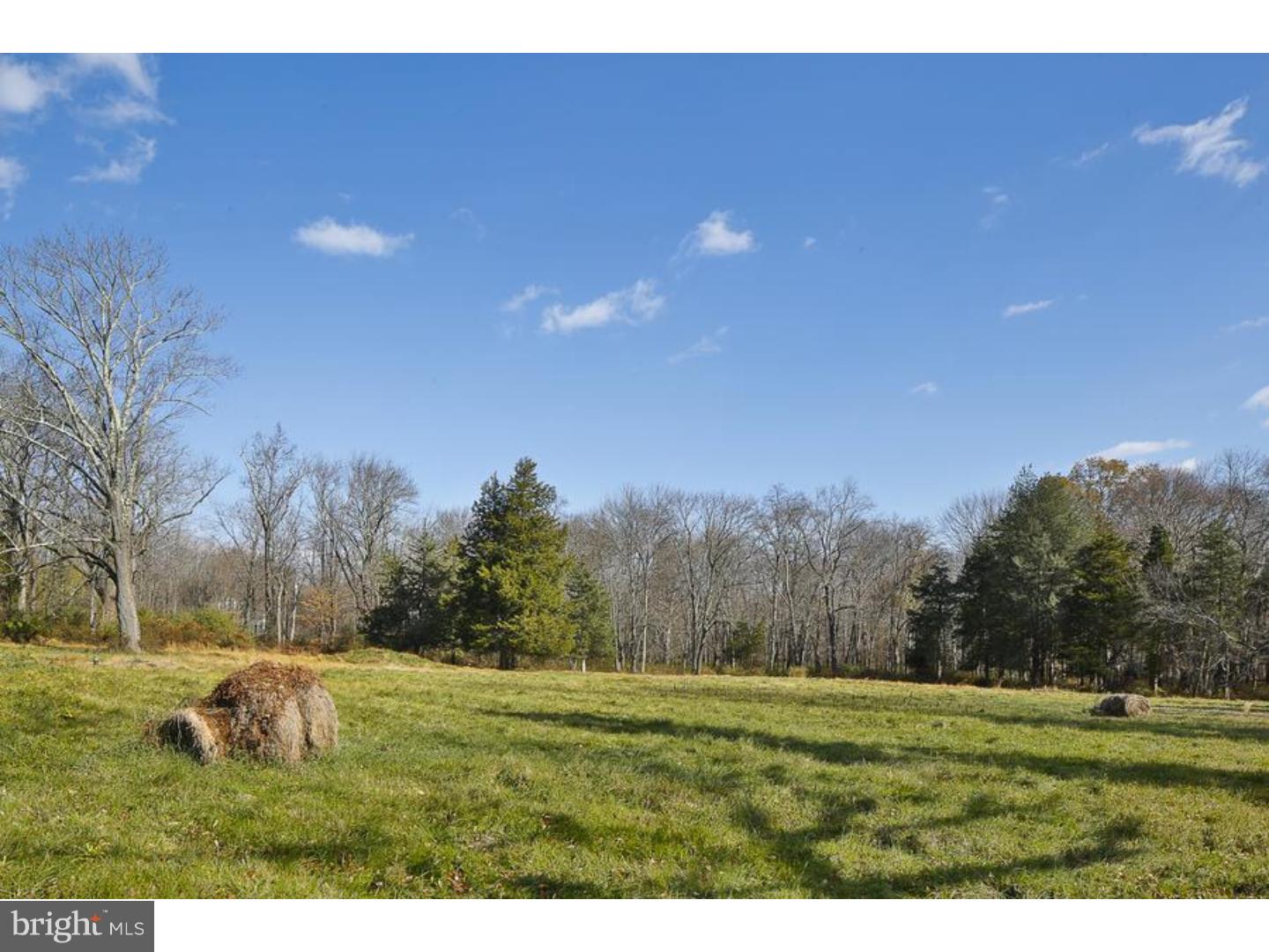 447 Spring Hill Road Skillman, NJ 08558 - Photo 8 of 12