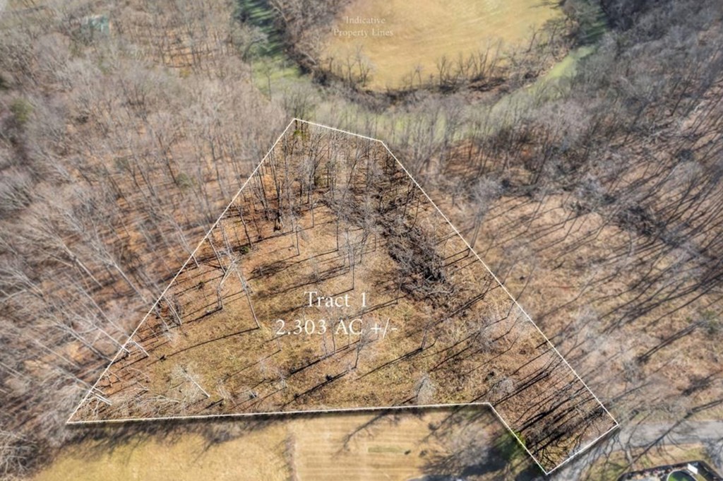 0 Forest Circle Sparta, TN 38583 - Photo 3 of 14
