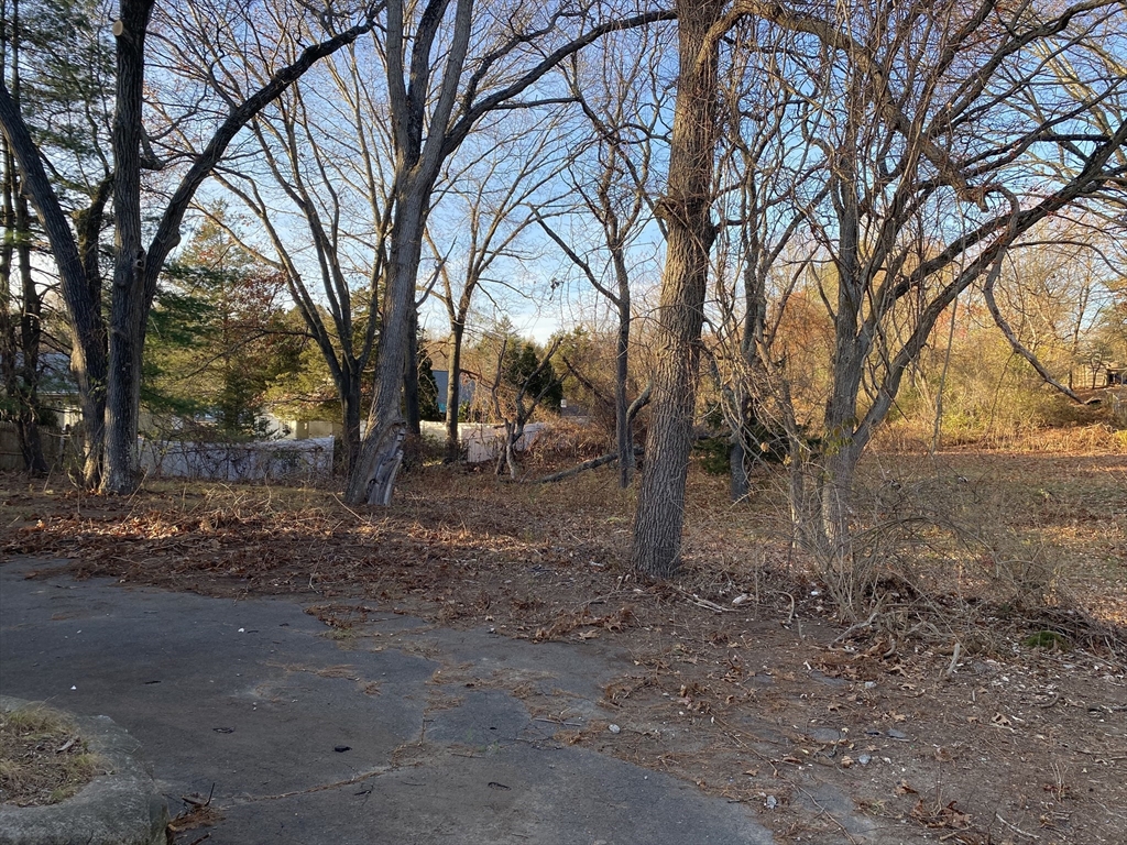 5 Hickory Road Natick, MA 01760 - Photo 12 of 14 Gallery Image 12