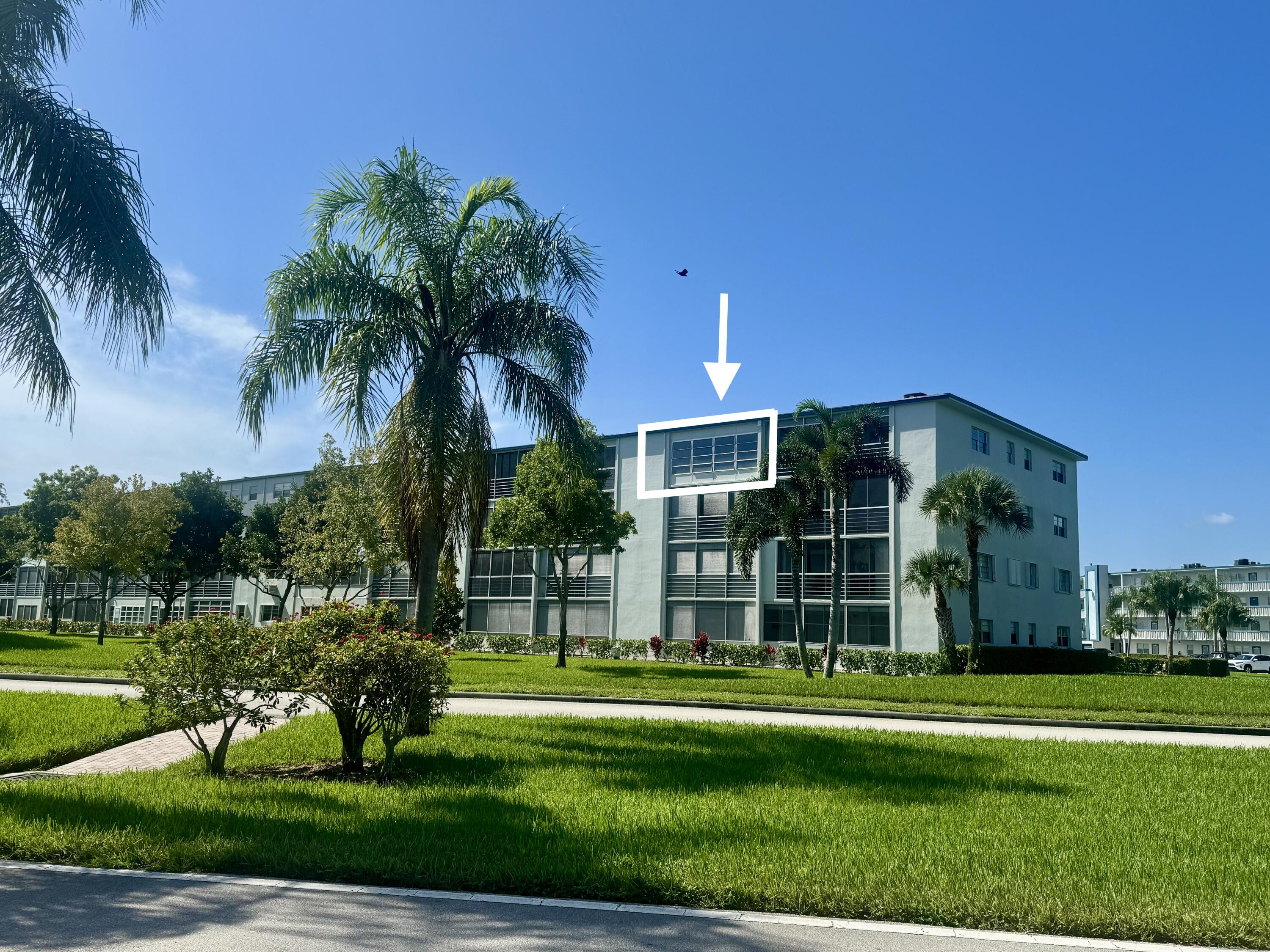 a view of a park that has a sign board with palm trees