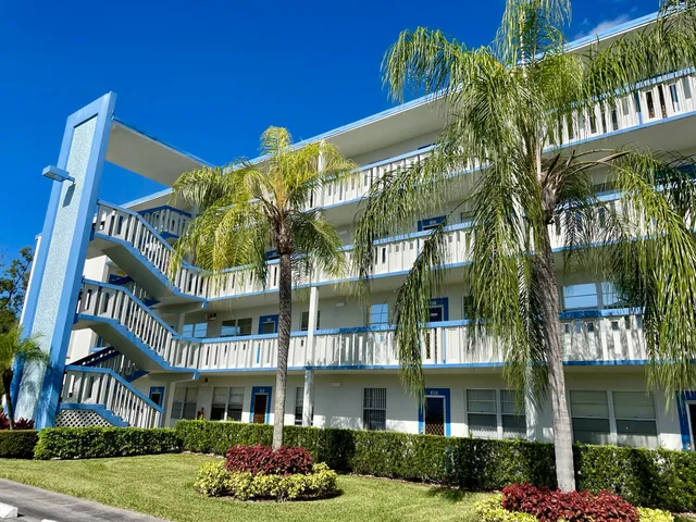 a view of a swimming pool with a lawn chairs and palm tree
