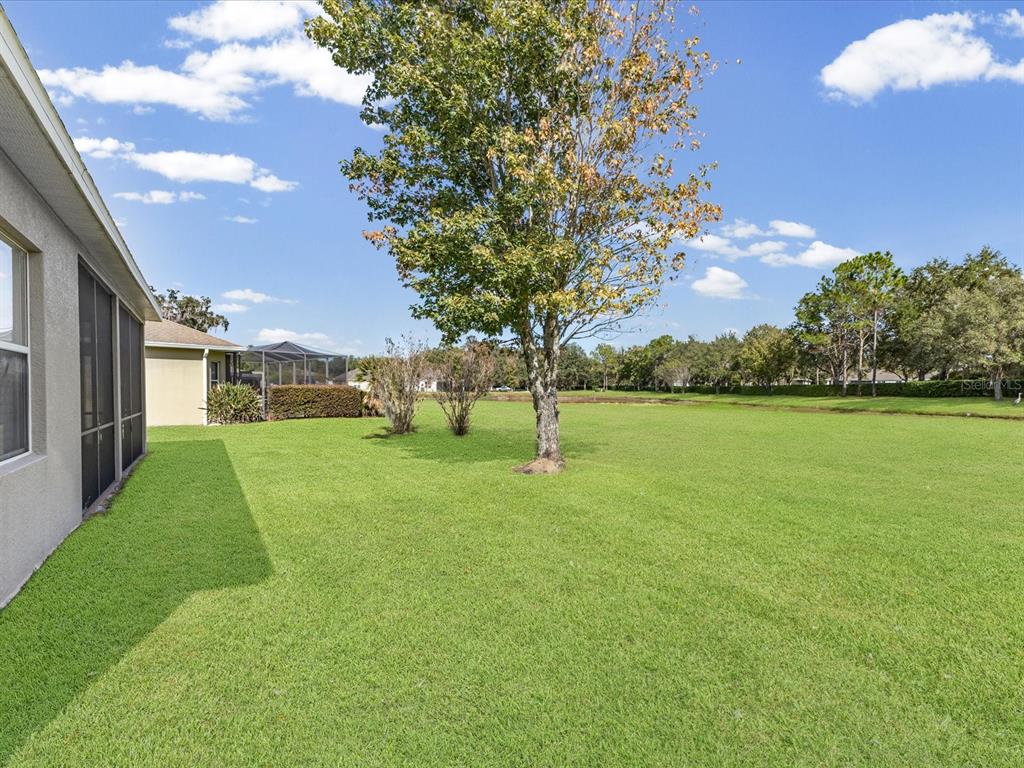 5347 Cappleman Loop Brooksville, FL 34601 - Photo 28 of 28 a view of a park with large trees