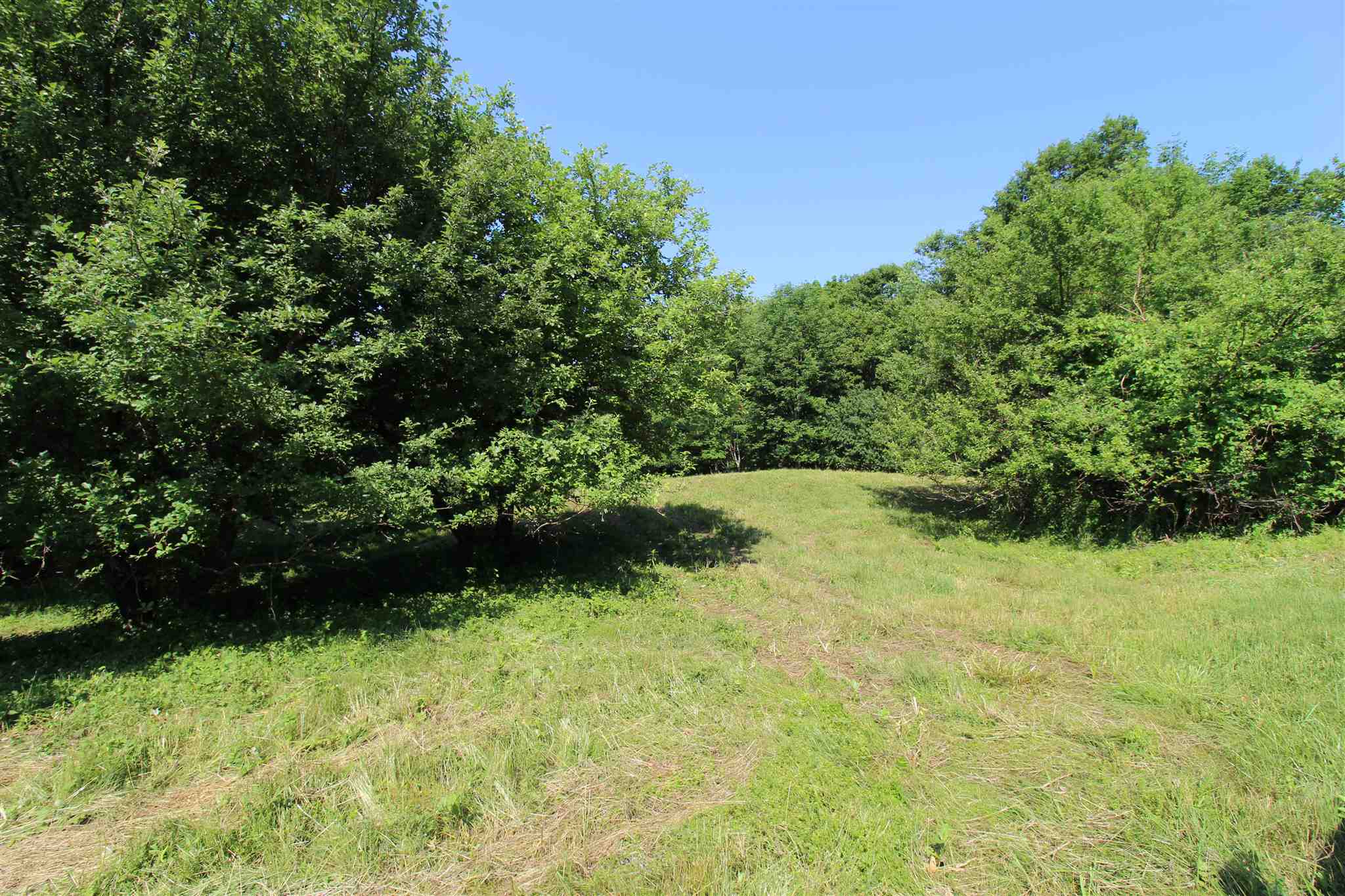 Highview Ridge Road Danby, VT 05739 - Photo 4 of 5 Gallery Image 4