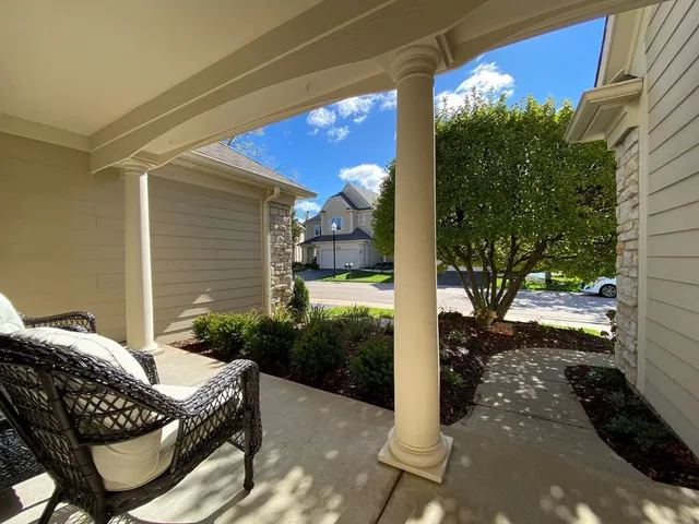 a view of backyard with outdoor seating and plants