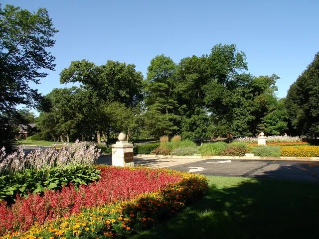 a view of a yard with yellow house