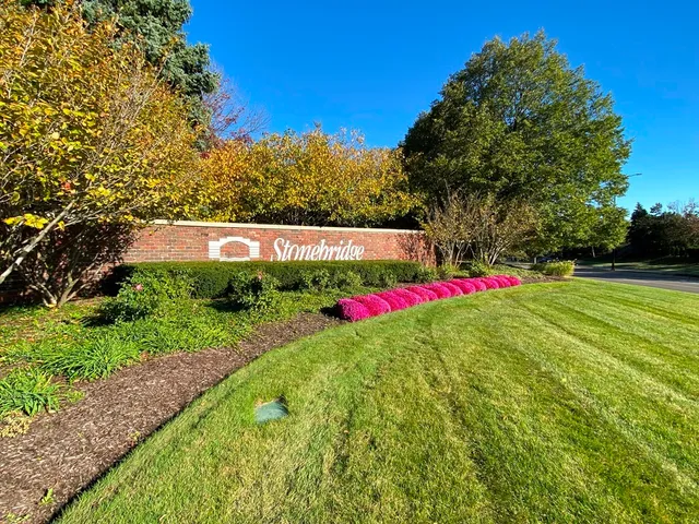 a view of a back yard
