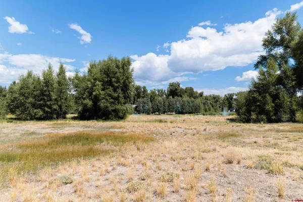 a view of a yard with a snow