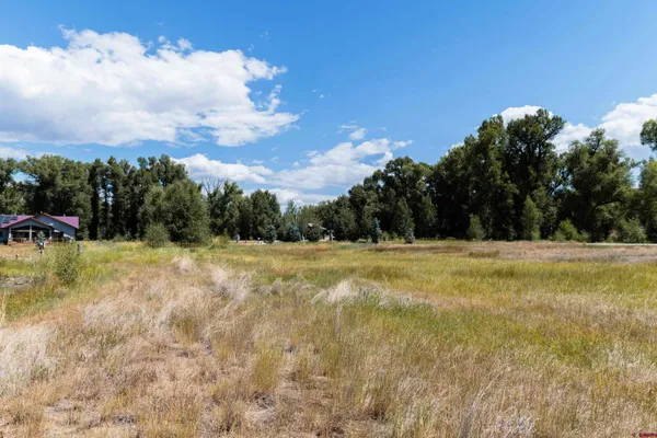a view of swimming pool with a yard
