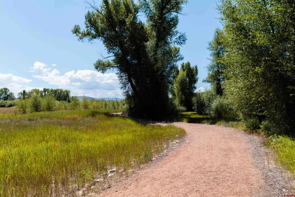 a view of a pathway both side of green field