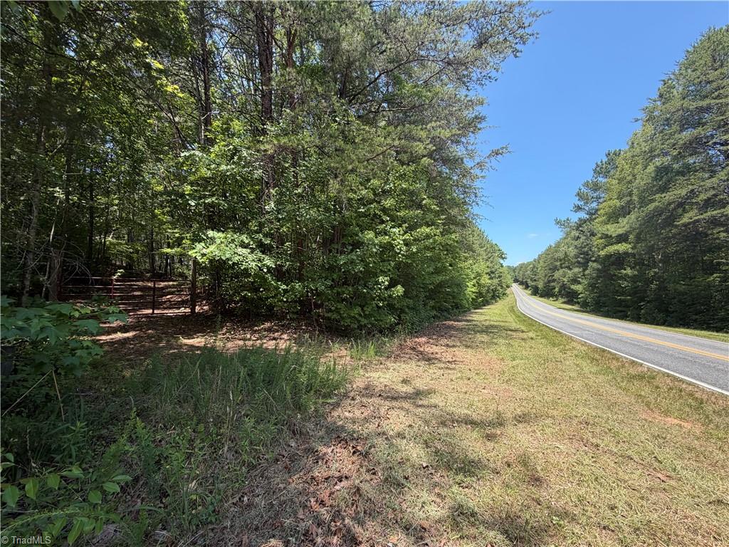 Xx 31.85-ac Xx 31.85-ac Hampton Road Germanton, NC 27019 - Photo 4 of 33