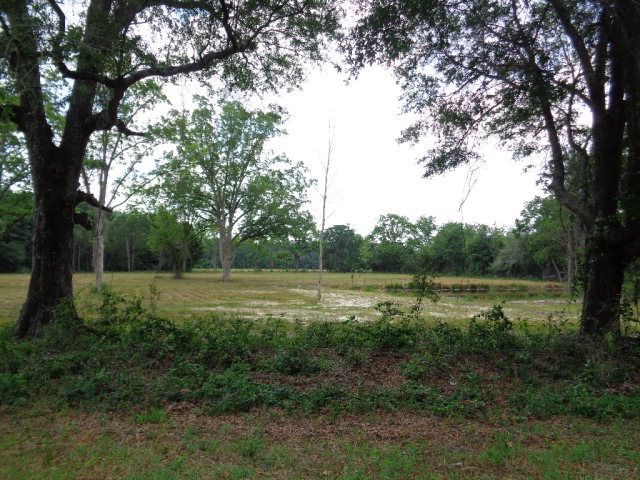 4.7 Cty Road Ozark, AL 36360 - Photo 1 of 1