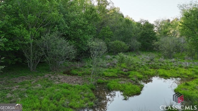 0 Moore Road Elberton, GA 30635 - Photo 22 of 67