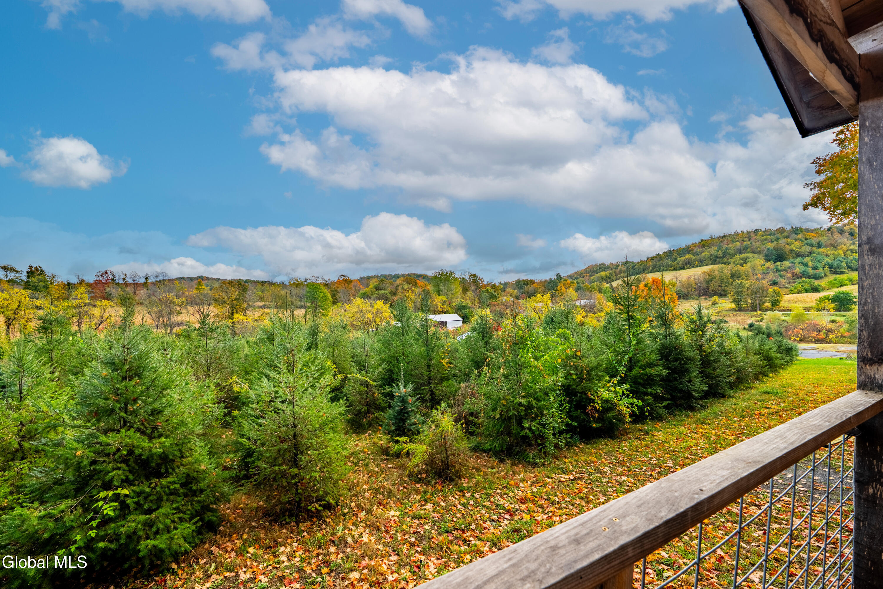 453 County Rte 47 Argyle, NY 12809 - Photo 28 of 36 Cabin View