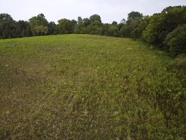 $189,000 | 3201 W. Grand Blanc Rd., Swartz Creek, MI 48473