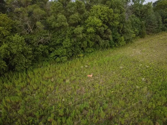 $189,000 | 3201 W. Grand Blanc Rd., Swartz Creek, MI 48473