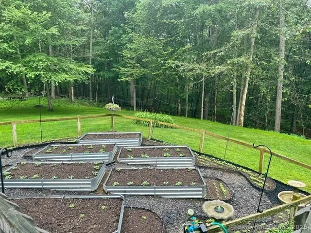 a view of a park with a large trees