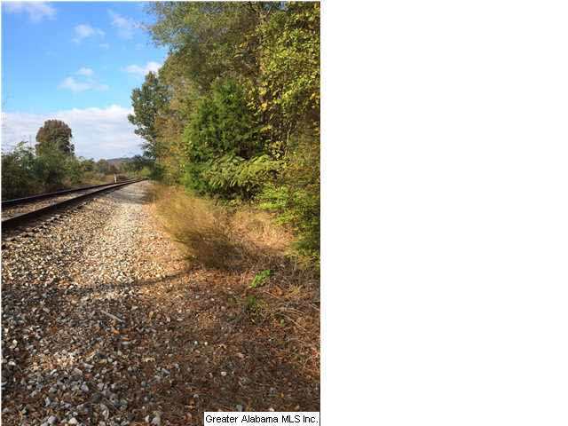 0 Highway 77, Unit 24 AC Ohatchee, AL 36271 - Photo 5 of 13