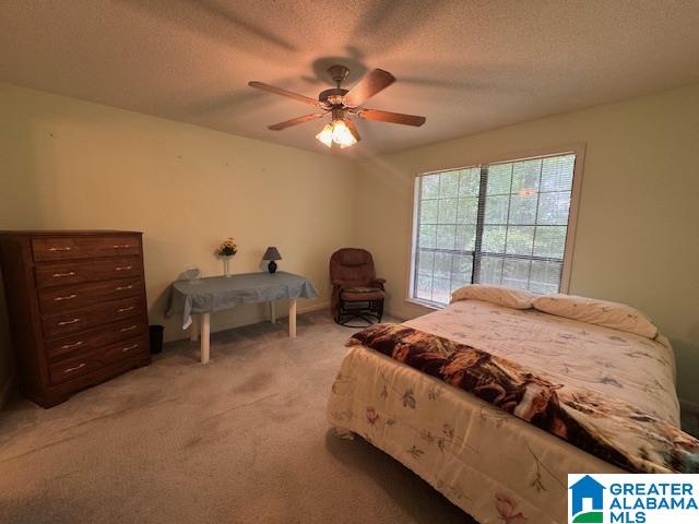 4379 Wellington Road Jacksonville, AL 36265 - Photo 33 of 98 Gallery Image 33