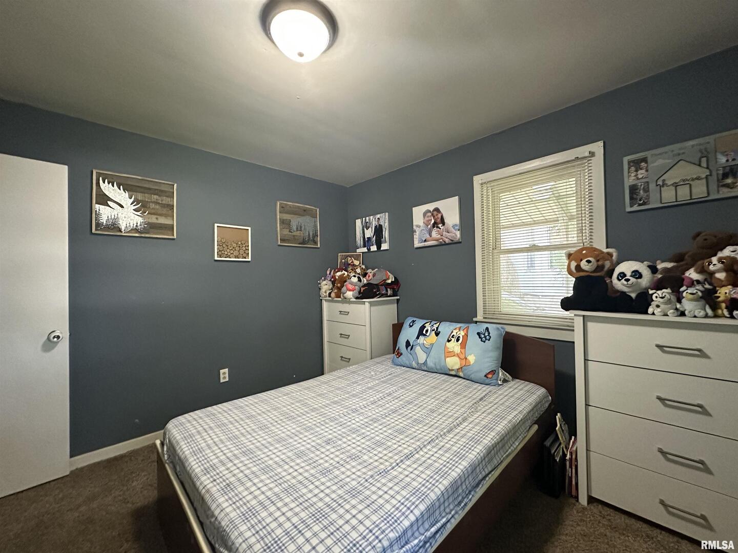 525 North Street Murphysboro, IL 62966 - Photo 16 of 22