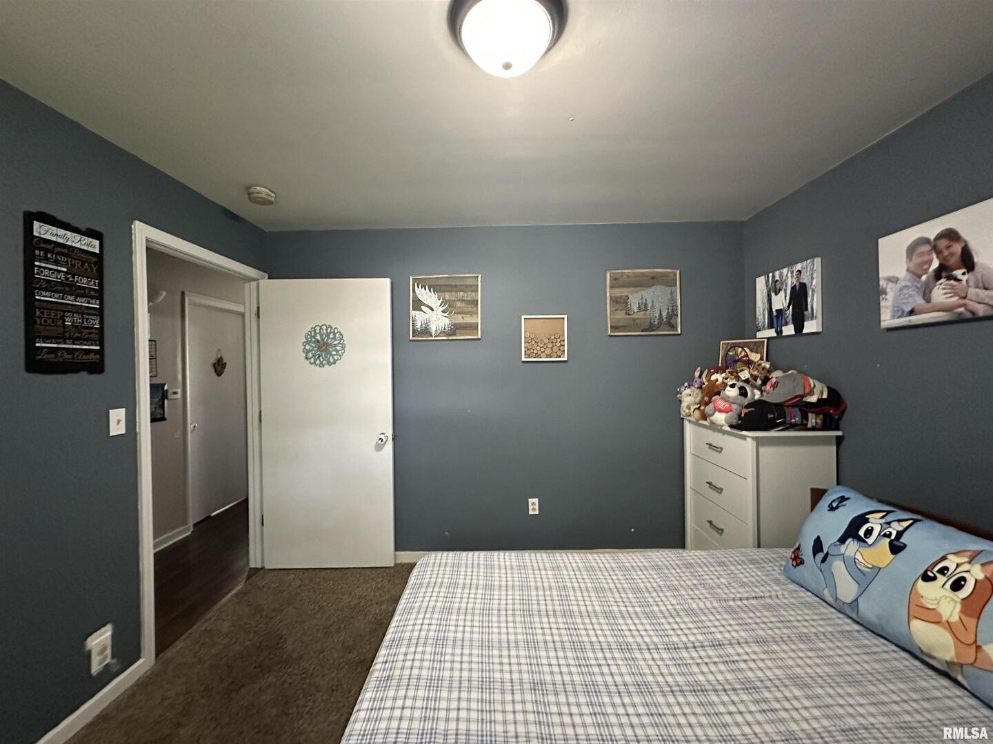 525 North Street Murphysboro, IL 62966 - Photo 18 of 22