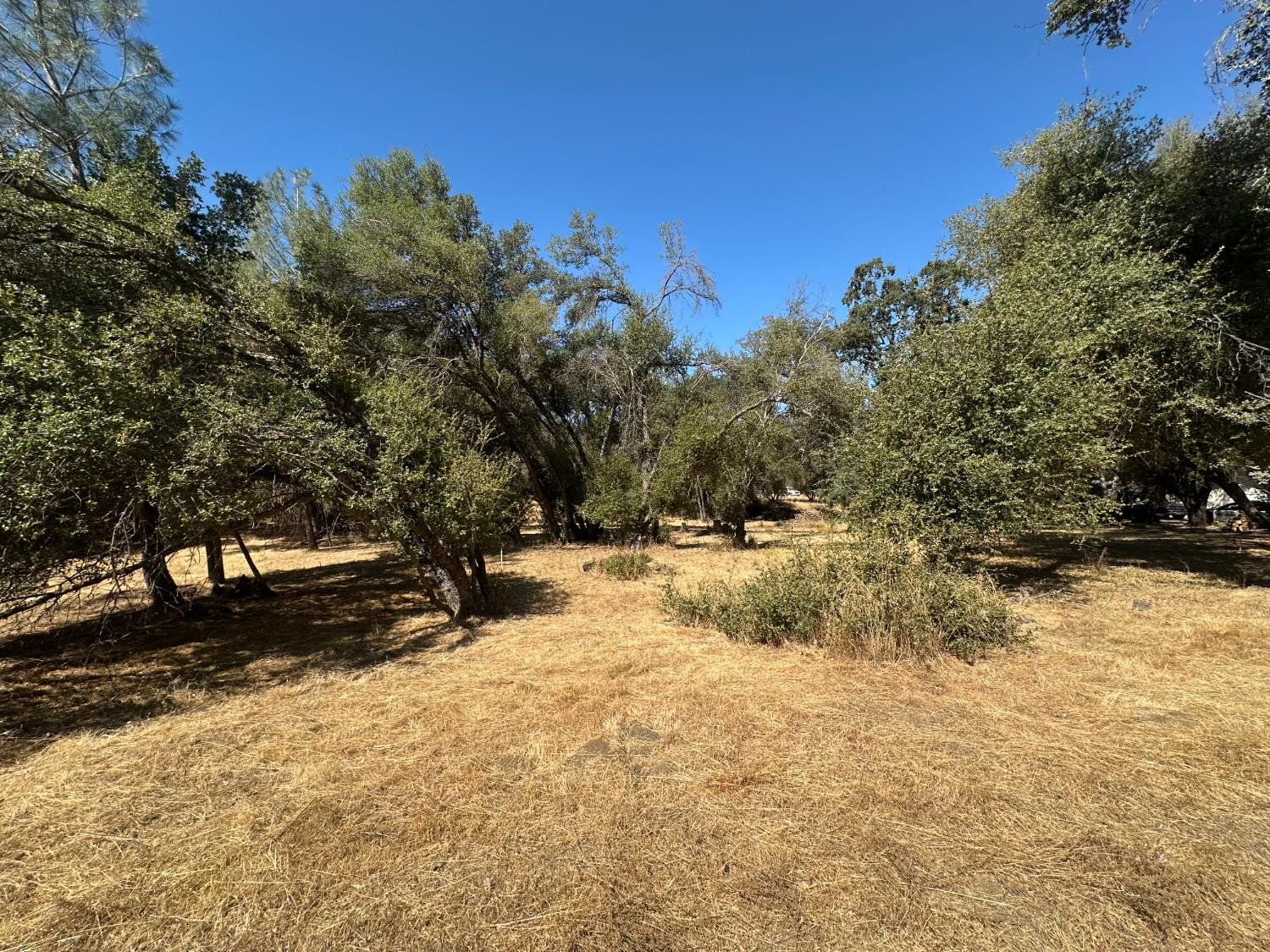 120 Lot Road Coarsegold, CA 93614 - Photo 2 of 7 Gallery Image 2