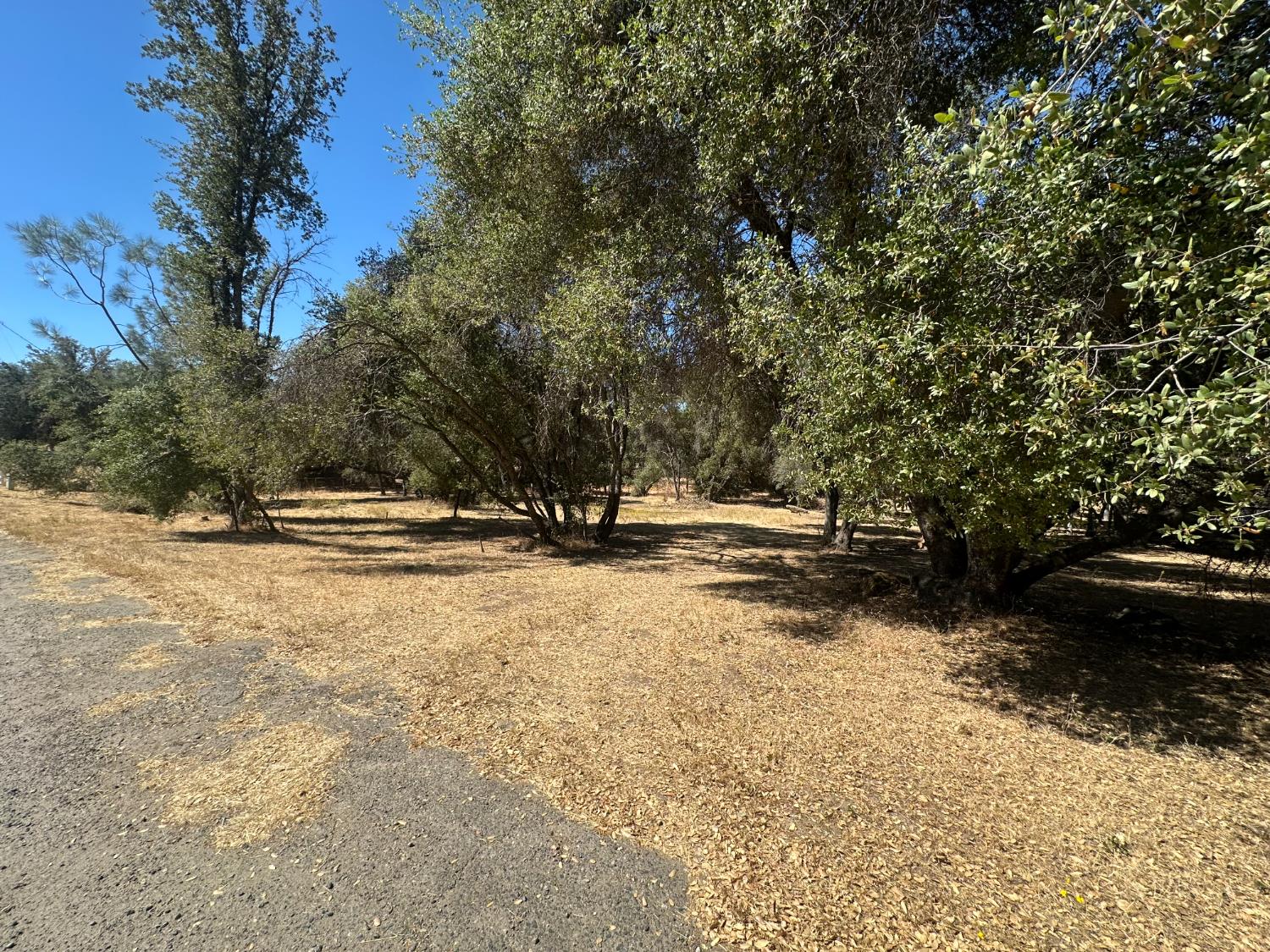 120 Lot Road Coarsegold, CA 93614 - Photo 3 of 7 Gallery Image 3