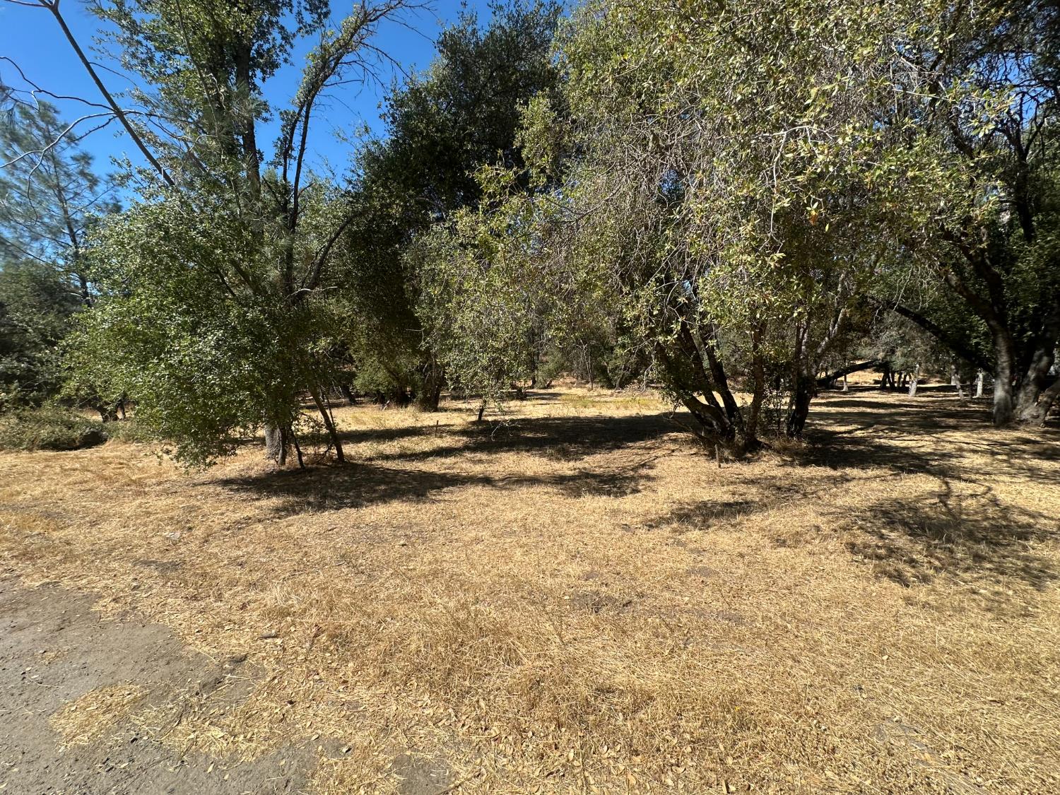 120 Lot Road Coarsegold, CA 93614 - Photo 5 of 7 Gallery Image 5