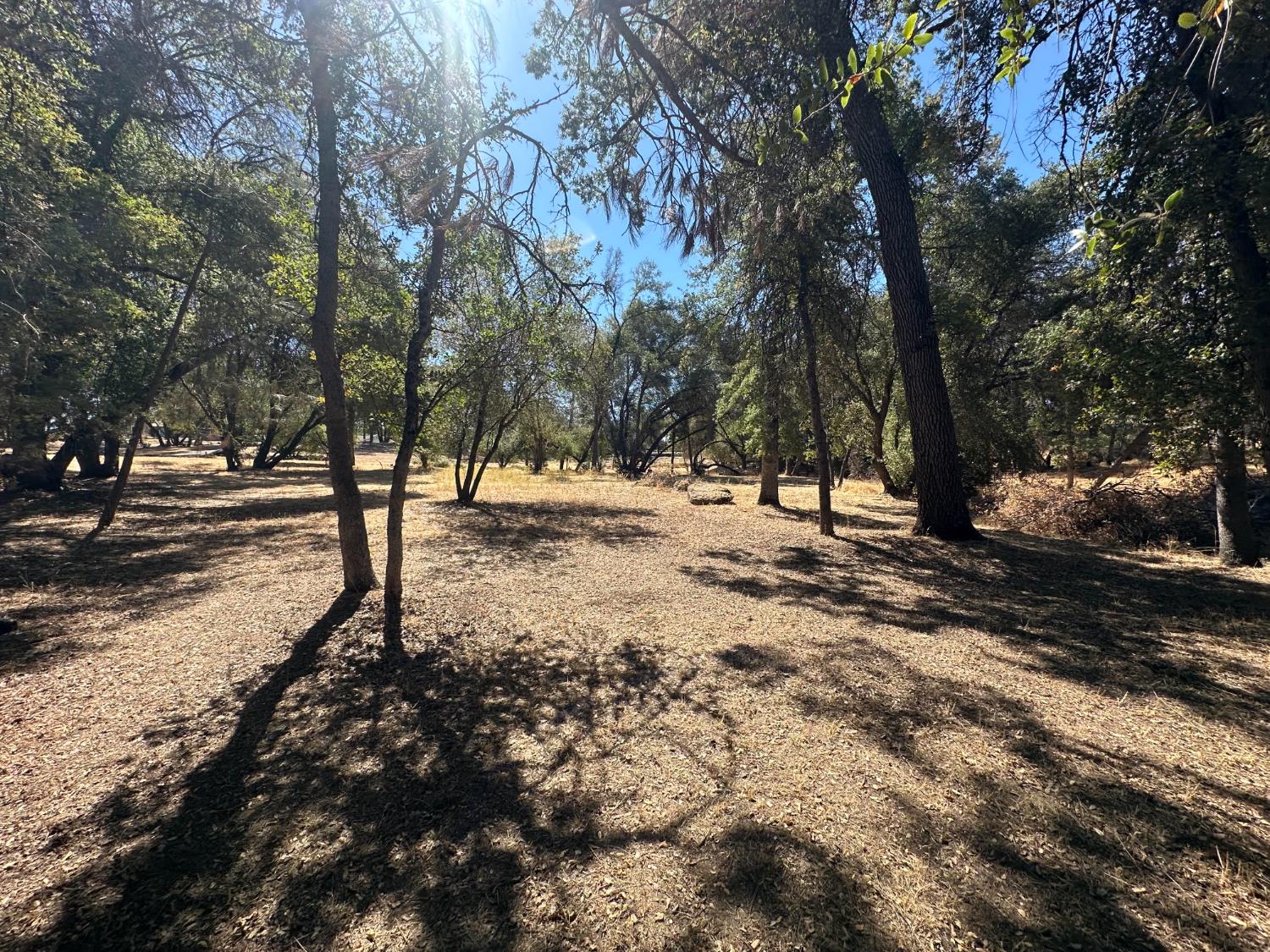 120 Lot Road Coarsegold, CA 93614 - Photo 7 of 7 Gallery Image 7