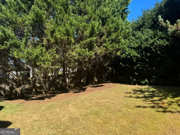 a view of yard