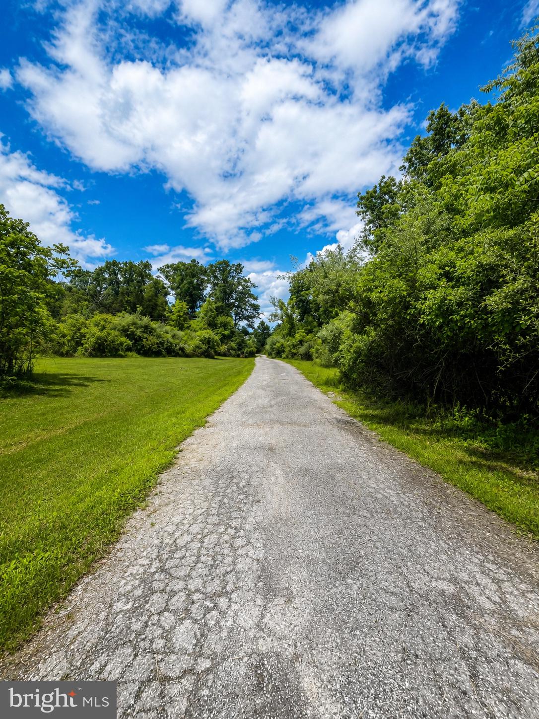 600 Ridge Road Dillsburg, PA 17019 - Photo 1 of 15 a view of a yard with plants and trees