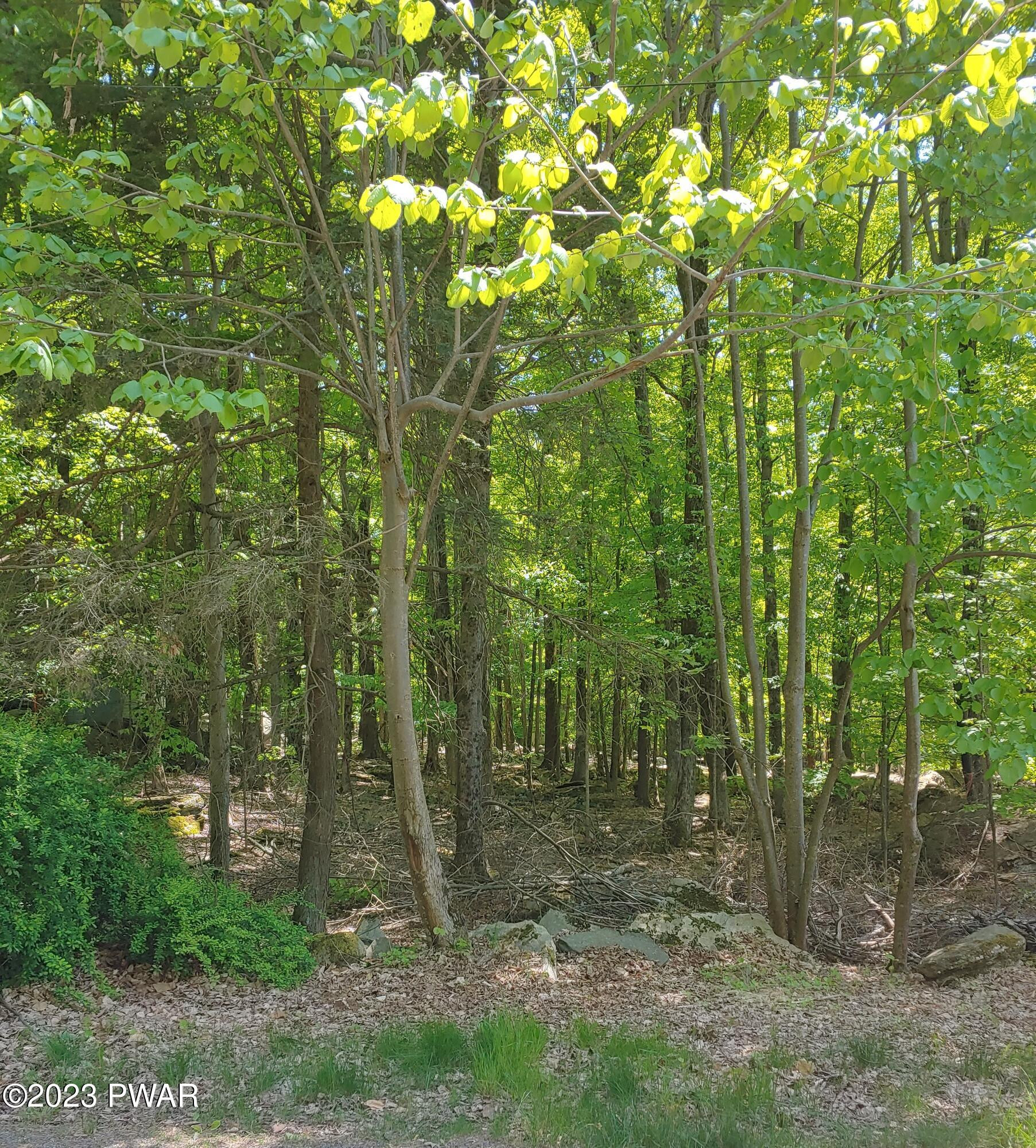 455 North Northgate Road Lake Ariel, PA 18436 - Photo 1 of 1