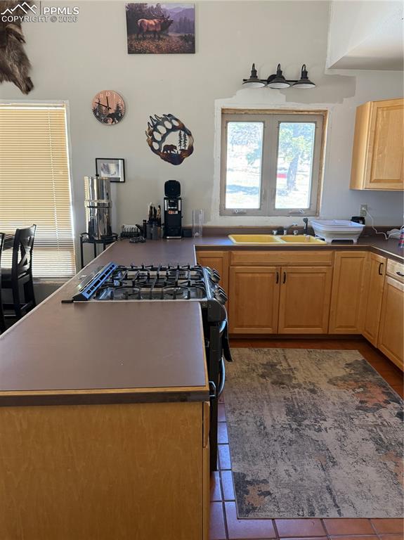 450 Schierl Road Fort Garland, CO 81133 - Photo 25 of 40 a kitchen with a refrigerator a stove a sink and a dining table with wooden floor