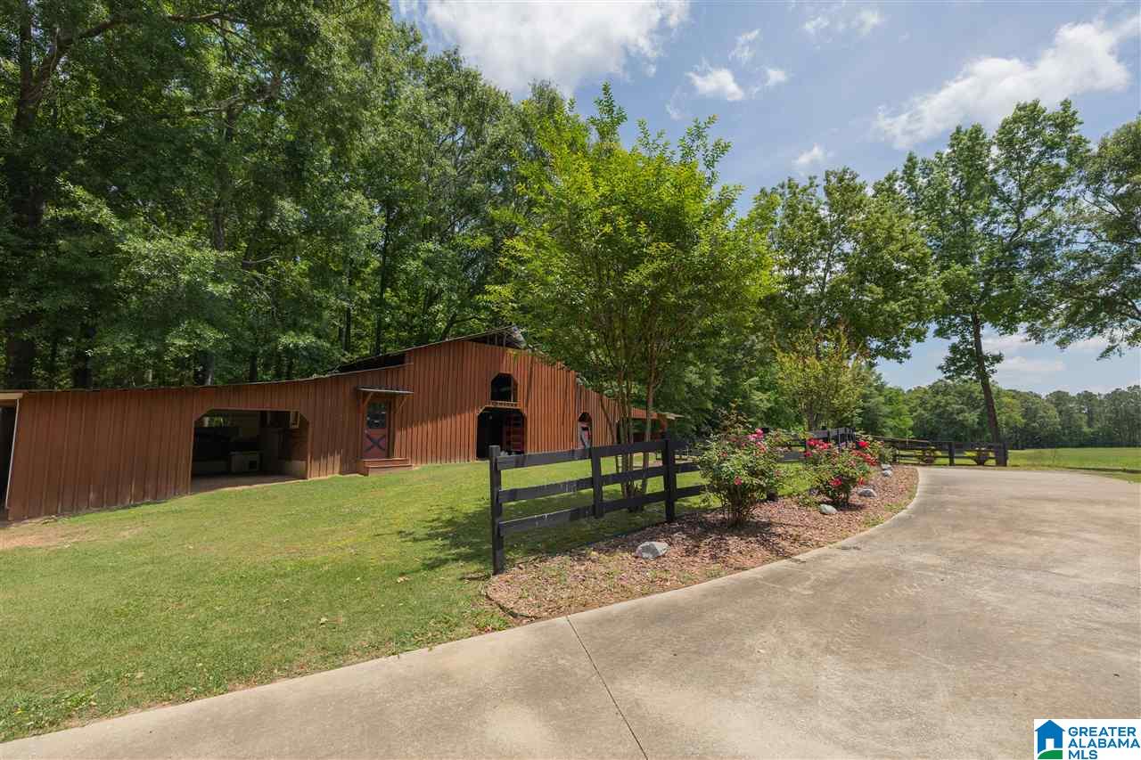 5360 McElderry Road North Munford, AL 36268 - Photo 36 of 45