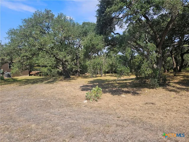 a view of dirt yard with a large tree