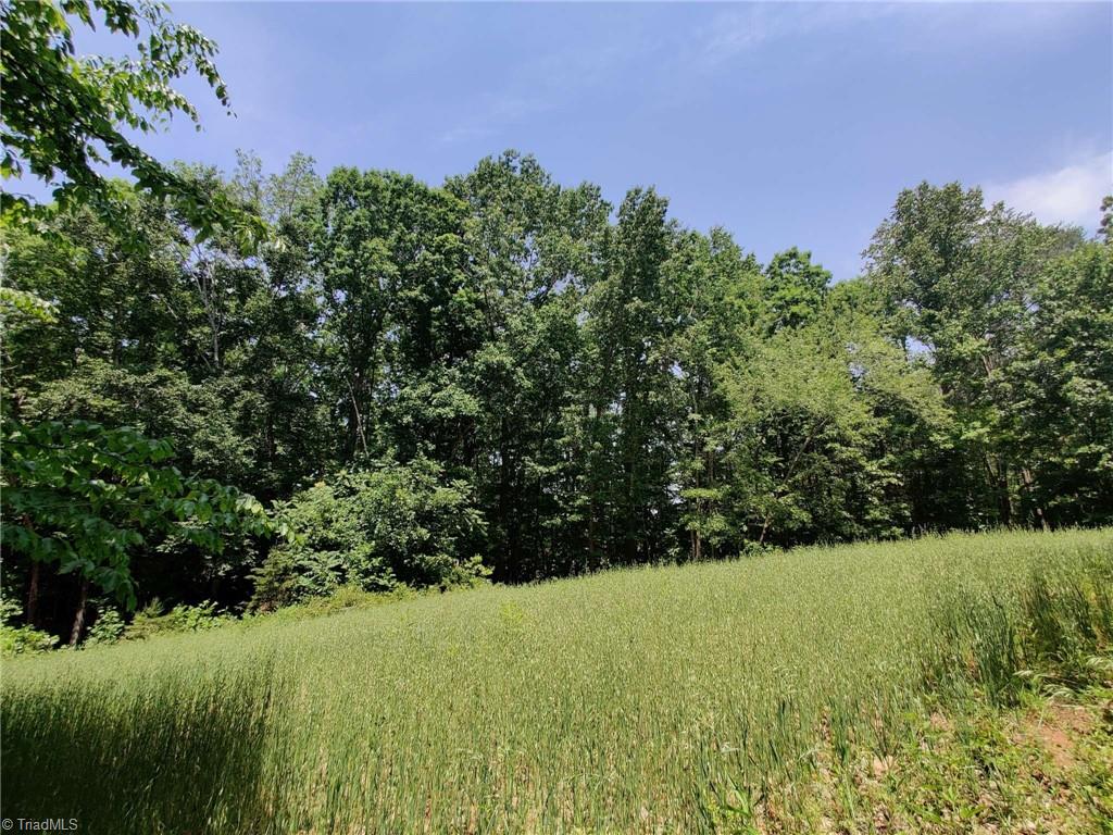 0 Tilley Road Walnut Cove, NC 27052 - Photo 16 of 21 Gallery Image 16