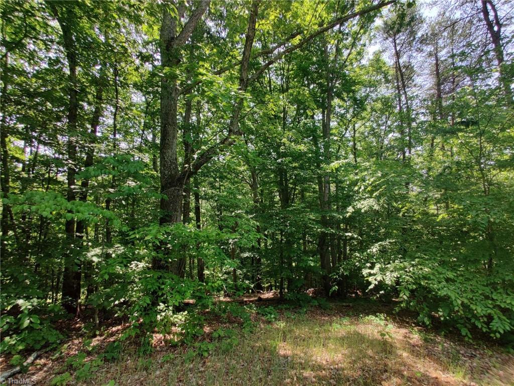 0 Tilley Road Walnut Cove, NC 27052 - Photo 17 of 21 Gallery Image 17