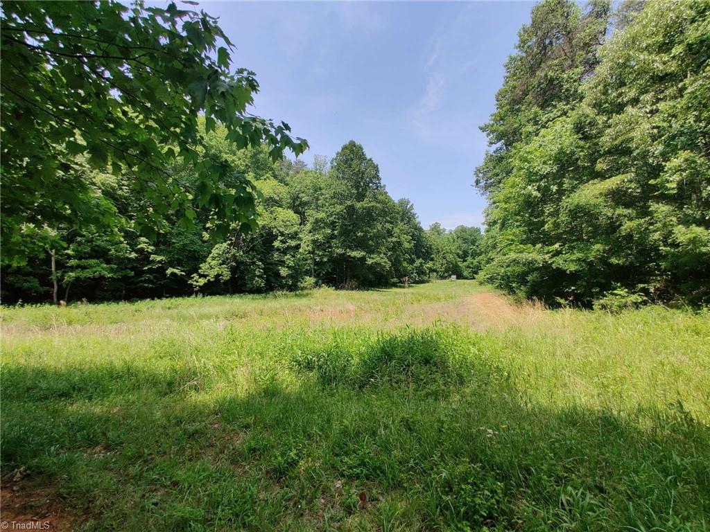 0 Tilley Road Walnut Cove, NC 27052 - Photo 10 of 21 Gallery Image 10