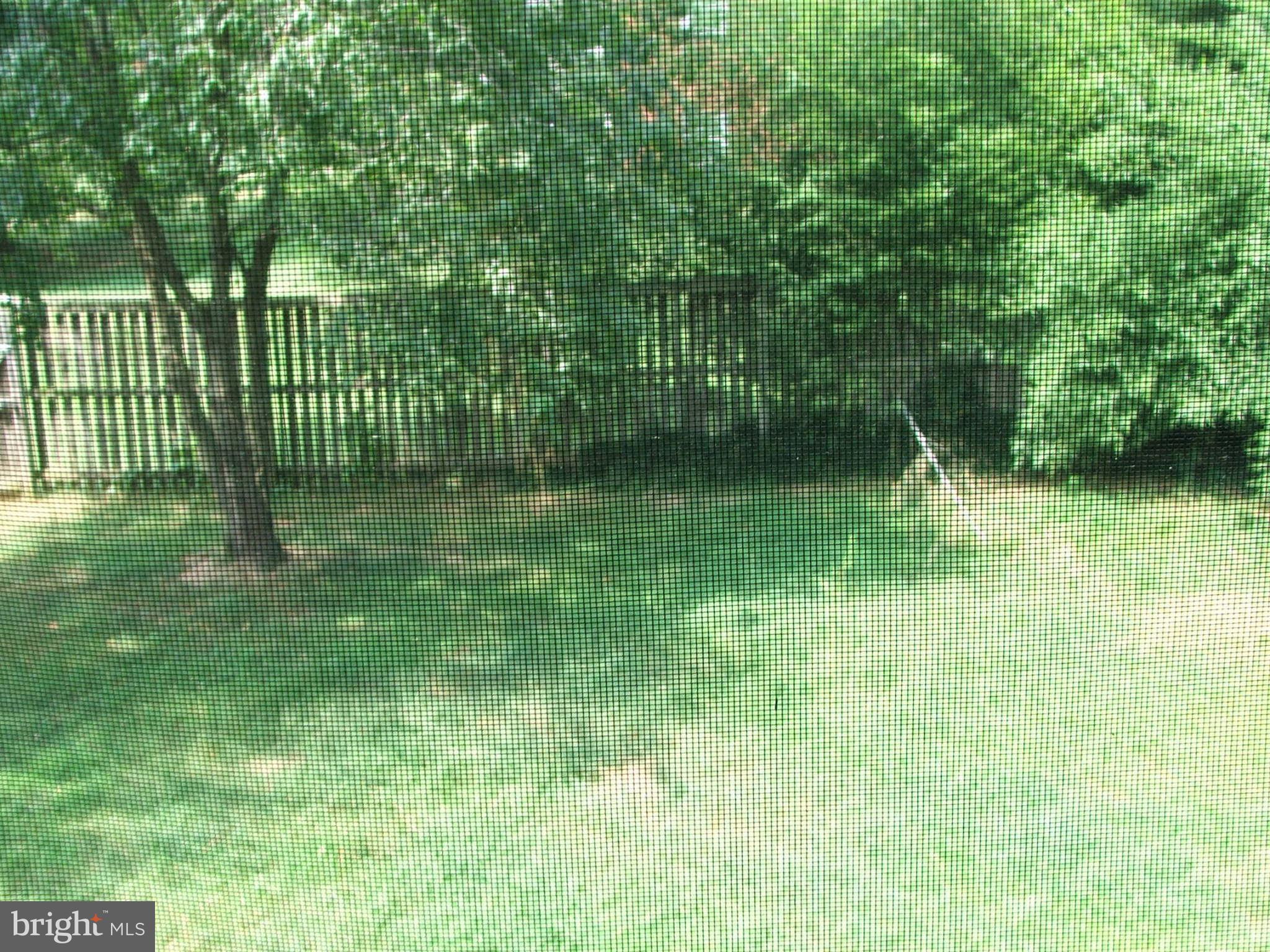 6508 Kalmia Street Springfield, VA 22150 - Photo 21 of 21 Exterior (Rear)