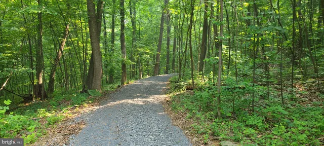 a view of backyard with green space